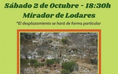 1 Quedada berrea en el pantano