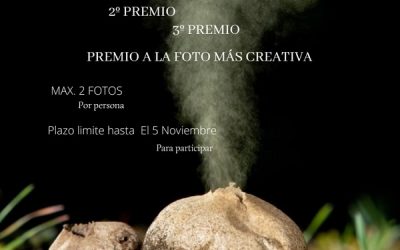 II Concurso de Micofotología 2021