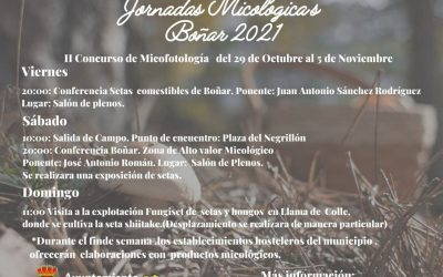 Jornadas micológicas 2021 en Boñar